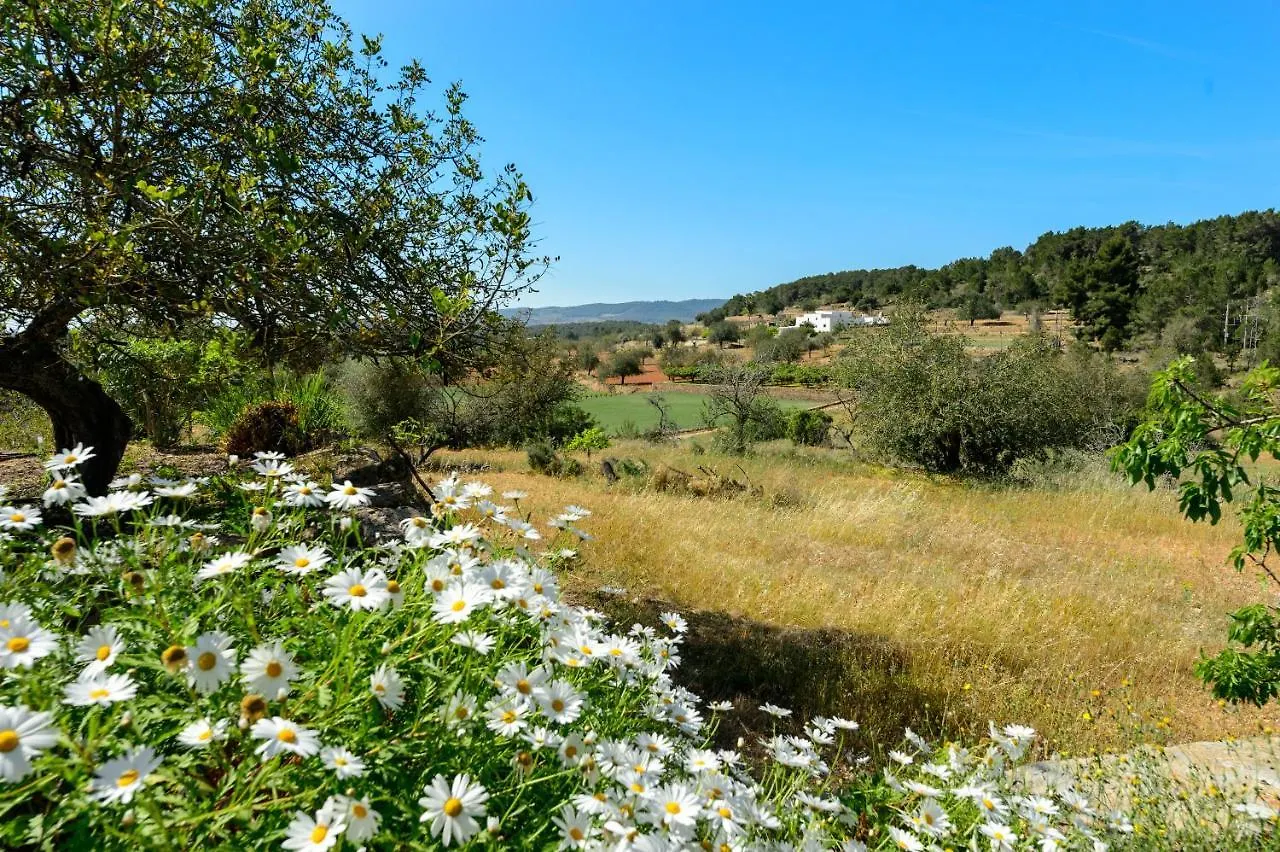 Villa Can Pep D'En Puig Sant Mateu d'Albarca
